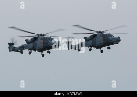 Westland Super Lynx al Luchtmachtlagen Foto Stock