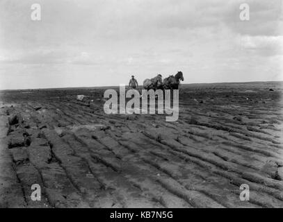 AJAXNETPHOTO. 1903. CANADA, esatta posizione sconosciuta. - Rotazione della Terra - uomo alla guida di un team di tre cavalli di traino di un aratro. fotografo:sconosciuto © IMMAGINE DIGITALE COPYRIGHT VINTAGE AJAX Picture Library Fonte: AJAX FOTO VINTAGE COLLEZIONE REF:AVL 2073 Foto Stock