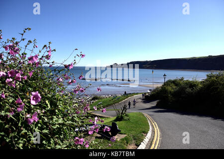 Un travolgente, baia riparata e affascinante dal tetto rosso cottages, runswick Bay è uno della costa dello Yorkshire più belle destinazioni. Foto Stock