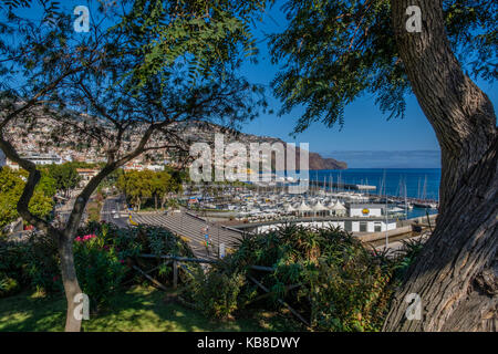 Giardino di Santa Catarina, Isola di Madeira Foto Stock