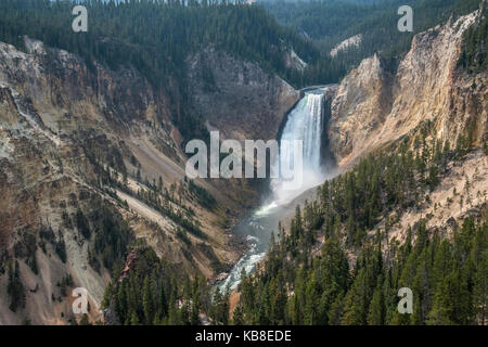 Canyon di Yellowstone e cascata inferiore con il fiume Yellowstone artisti dal punto di vista Foto Stock