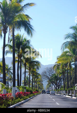 Puerta Vallarta principale autostrada lungo la zona degli hotel - Avendia Francisco Medina Ascencio, conosciuta anche come autostrada 200, Puerto Vallarta, Messico Foto Stock
