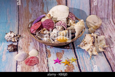 Conchiglie in un cesto di paglia. composizione astratta. Foto Stock