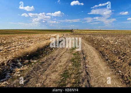 Strada rurale attraverso campi arati e il mais sotto il cielo blu con nuvole Foto Stock