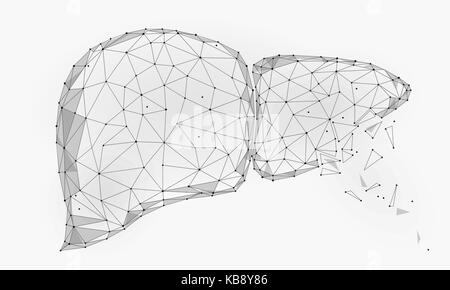 Trattamento di decadimento di rigenerazione del fegato umano organo interno triangolo bassa poli. punti collegati bianco grigio colore tecnologia 3D modello medicina corpo sano parte illustrazione vettoriale Illustrazione Vettoriale