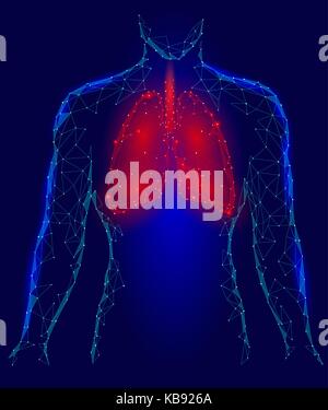 Polmoni umani infezione polmonare organo interno. Il sistema respiratorio all'interno del corpo silhouette. bassa poli 3d di punti collegati a triangolo design poligonale. rosso blu colore di sfondo illustrazione vettoriale Illustrazione Vettoriale
