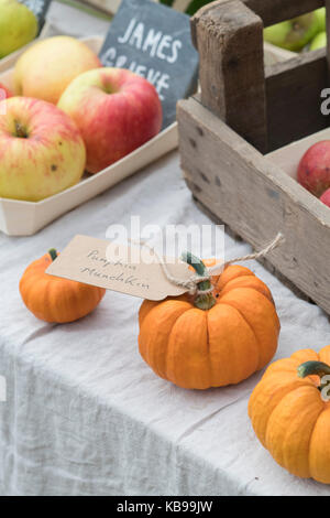 Munchkin zucca e mele display a Daylesford Organic farm shop festival d'autunno. Daylesford, Cotswolds, Gloucestershire, Inghilterra Foto Stock