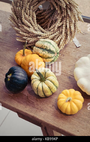Display di squash a Daylesford Organic farm shop festival d'autunno. Daylesford, Cotswolds, Gloucestershire, Inghilterra Foto Stock