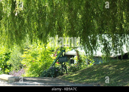 Cottage attraverso un salice Foto Stock