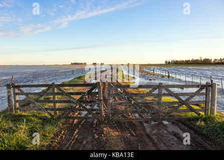 Recinzione di una proprietà all'inizio di una lunga strada sterrata. Las Flores, Argentina. Foto Stock