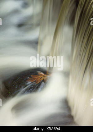 Weir legno Mill Foto Stock