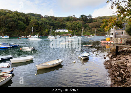 Imbarcazioni da diporto, derive e pesca costiera barche ormeggiate a Trebeurden Quay sul fiume Yealm, Devon, Regno Unito Foto Stock