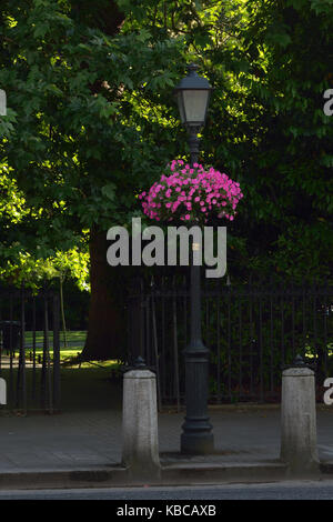 Vecchia strada lampada a Dublino, Irlanda Foto Stock