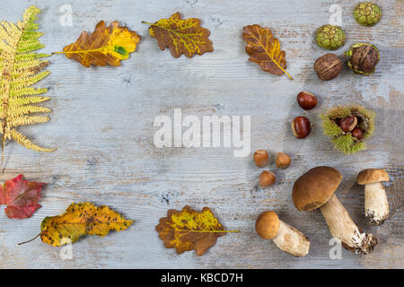 Autunno decorativo confine con castagne, noci, nocciole, ghiande ,ceps e lascia in grigio sullo sfondo di legno Foto Stock