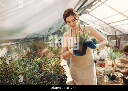 Colpo di giovane donna tenendo un cactus pianta in vaso in serra. Bella giardiniere tenendo un vasi di cactus al vivaio. Foto Stock