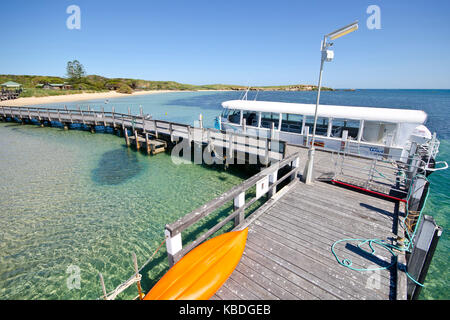 Jetty e traghetto al penguin island, casa di una colonia di circa 1200 piccoli pinguini e oltre 50 altre specie di uccelli marini. shoalwater islands marine pa Foto Stock