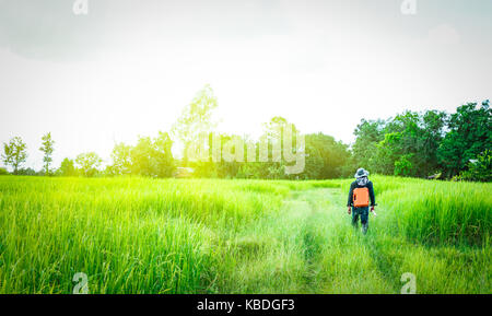 Asian smart o di ingegnere geometra in nero jeans e camicia a maniche lunghe e hat porta una casella arancione di attrezzature da lavoro e passeggiate nel verde di riso Foto Stock