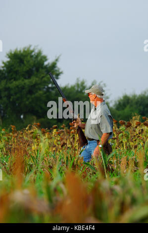 Colomba di cacciatori in attesa di colombe per volare in un campo di fattoria vicino a Hondo, Texas Foto Stock