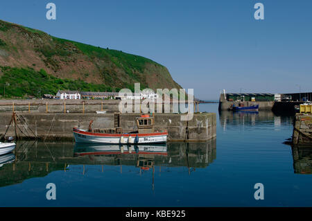 Burnmouth Harbour, SCOZIA Foto Stock