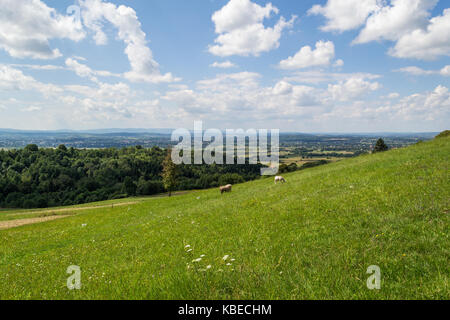 Monti bieszczady sopra la laguna solińskim, Polonia Foto Stock