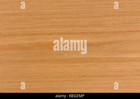Legno di ciliegio sfondo texture su macro. Foto Stock