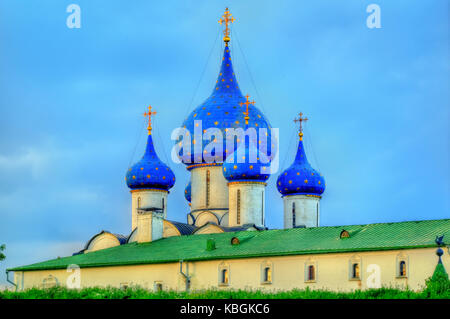 La cattedrale della natività della Theotokos presso il Cremlino di Suzdal, Russia Foto Stock