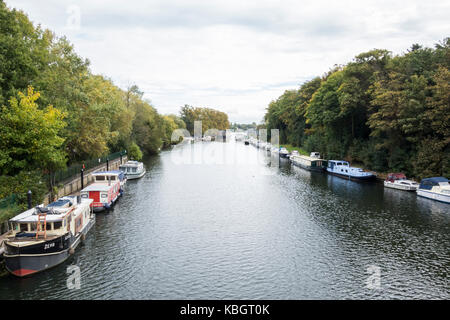 La vista dal ponte di sospensione al porto Hampton Inn Platts Eyot in Hampton, London, Regno Unito Foto Stock