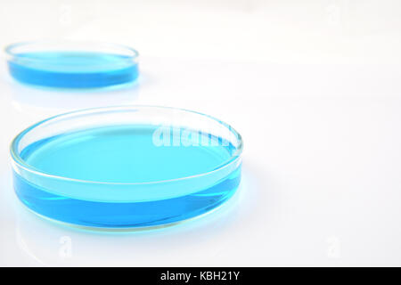 Piastre di Petri di soluzione di solfato di rame isolato su sfondo bianco Foto Stock