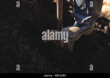 Basso-sezione di agricoltore in piedi con le spade nel campo Foto Stock