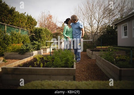 Coppia senior kissing nel parco in una giornata di sole Foto Stock