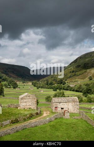 La bellissima campagna intorno Muker in Swaledale, Yorkshire Dales, Inghilterra. Con il tradizionale di pietra fienili o "case di vacca" "mucca'usses'. Foto Stock
