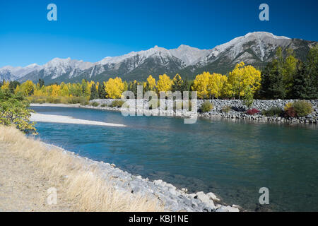 Colore di autunno presso il fiume bow canada Foto Stock