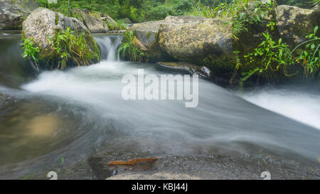 Un torrente di montagna di western North Carolina. Foto Stock