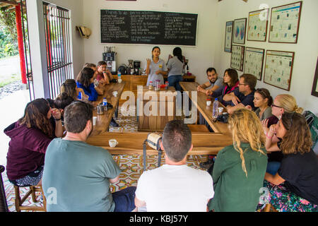 Giro del caffè a Hacienda Venecia azienda di caffè, Manizales (Colombia) Foto Stock