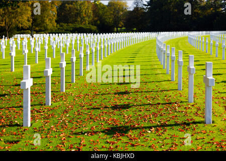 Croci Bianche sotto un albero presso la American cimitero militare henri-Chapelle vicino aubel in Belgio, alcune foglie in primo piano. Foto Stock