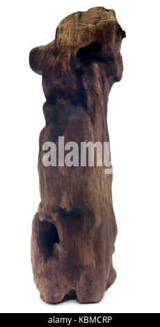 Bogwood decorativo isolate su sfondo bianco Foto Stock