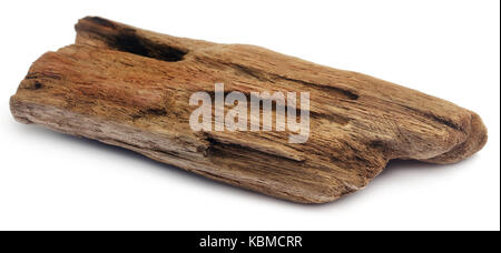 Bogwood decorativo isolate su sfondo bianco Foto Stock