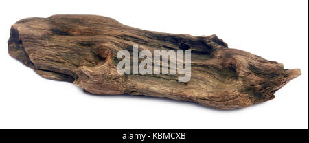 Bogwood decorativo isolate su sfondo bianco Foto Stock