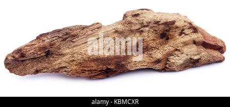 Bogwood decorativo isolate su sfondo bianco Foto Stock