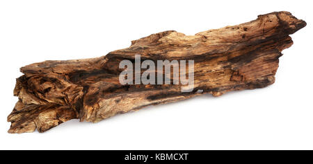 Bogwood decorativo isolate su sfondo bianco Foto Stock