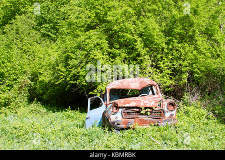 Vecchio arrugginito auto in giardino Foto Stock