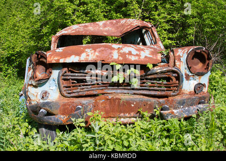 Vecchio arrugginito auto in giardino Foto Stock