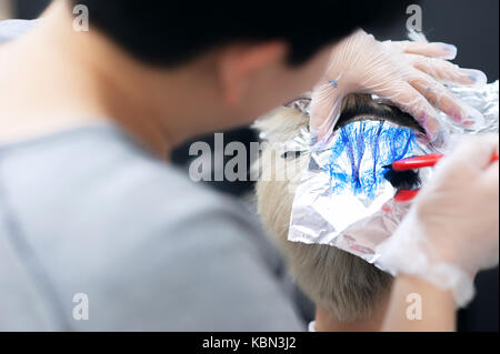 Il processo di verniciatura parziale dei capelli, in vari colori, utilizzando carta stagnola. maestro colorista nel flusso di lavoro. Foto Stock