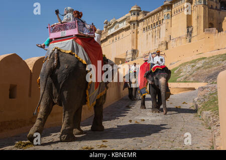 Jaipur, India - 18 settembre 2017: Uomini non identificati ride decorate di elefanti in jaleb chowk in forte di Amber a Jaipur, India. corse di elefanti sono laborato Foto Stock