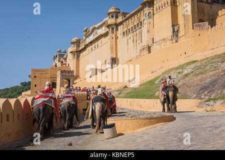 Jaipur, India - 18 settembre 2017: Uomini non identificati ride decorate di elefanti in jaleb chowk in forte di Amber a Jaipur, India. corse di elefanti sono laborato Foto Stock