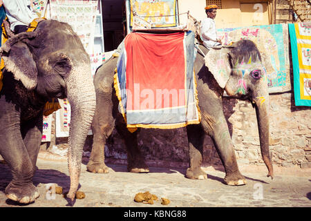 Jaipur, India - 18 settembre 2017: Uomini non identificati ride decorate di elefanti in jaleb chowk in forte di Amber a Jaipur, India. corse di elefanti sono laborato Foto Stock