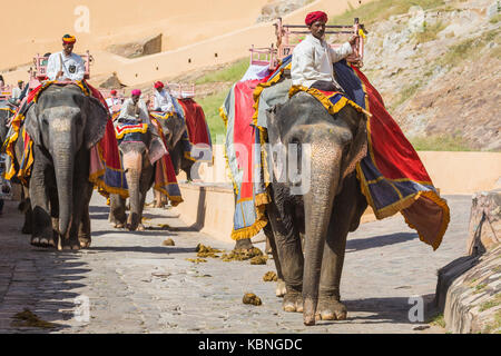 Jaipur, India - 18 settembre 2017: Uomini non identificati ride decorate di elefanti in jaleb chowk in forte di Amber a Jaipur, India. corse di elefanti sono laborato Foto Stock