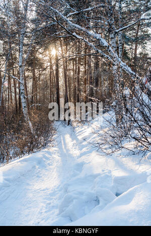 Sole splende attraverso gli alberi ed è percorso di illuminazione in inverno foresta. ombre di alberi è caduta sul percorso. Foto Stock