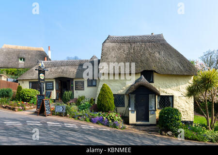 Pittoreschi pub con il tetto di paglia a maidencombe Beach in South Devon. SOUTH WEST COAST PATH, taverna con tetto in paglia, in stile cottage e tempo di primavera. Foto Stock