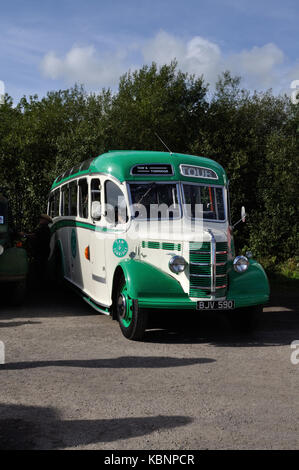 Taw & Torridge allenatori 1950 Bedford OB aeroportuale BJV 590 si è visto all'ovest dell'Inghilterra raccolta trasporto Open Day a Nuneaton il 6 ottobre 2013 Foto Stock